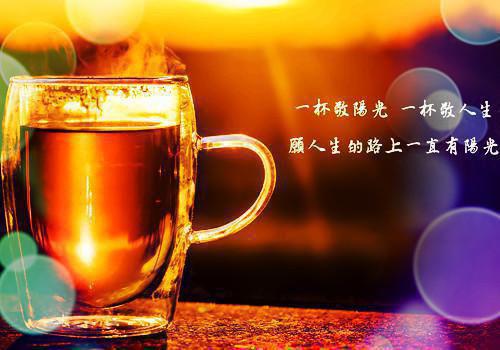 绝世毒神小说（云澈茉莉）全文免费阅读无弹窗大结局_(绝世毒神小说免费阅读)最新章节列表_笔趣阁（云澈茉莉）
