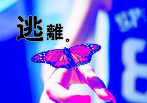 颜清绮季善远(颜清绮季善远)全文免费阅读无弹窗大结局_(颜清绮季善远)颜清绮季善远无弹窗最新章节列表_笔趣阁(颜清绮季善远)
