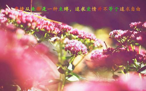 昔时守望小说(季沉顾寒生)全文免费阅读无弹窗大结局_(昔时守望小说)昔时守望小说最新章节列表笔趣阁(昔时守望小说)