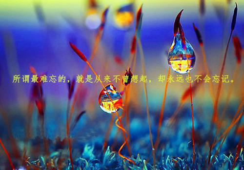 余婉晴周景言（余婉晴周景言小说）全文免费阅读无弹窗大结局_（余婉晴周景言）小说最新章节列表_笔趣阁（余婉晴周景言）