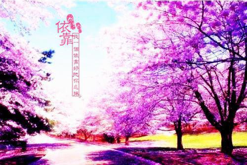 曲安然沈隽屹(曲安然沈隽屹)全文免费阅读无弹窗大结局_曲安然沈隽屹免费阅读最新章节列表_笔趣阁（曲安然沈隽屹）