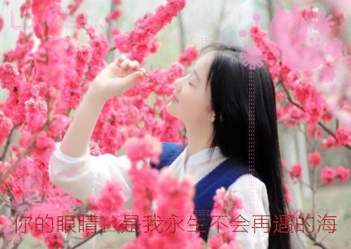 凤娓沈朝知乎(凤娓沈朝)全文免费阅读_凤娓沈朝知乎小说全文阅读