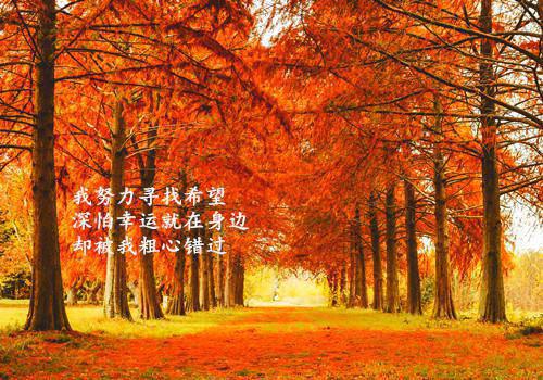 这种人不要也罢(谢明辰岁岁)全文免费阅读无弹窗大结局_ (这种人不要也罢小说免费阅读)最新章节列表_笔趣阁（谢明辰岁岁）