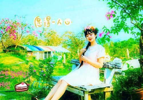 已完结小说《白卿心玄鸿》全文免费阅读