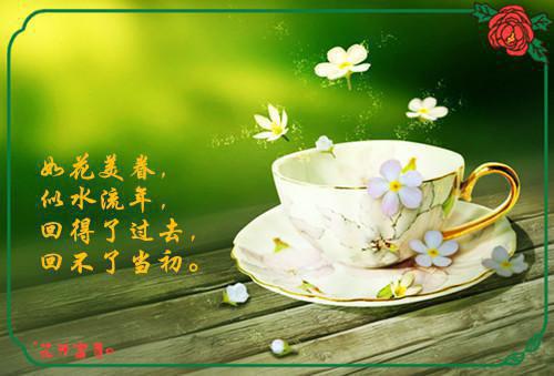 (连舟许鑫小说免费)全文免费阅读无弹窗大结局_(连舟许鑫小说免费免费阅读全文大结局)最新章节列表_笔趣阁（连舟许鑫小说免费）