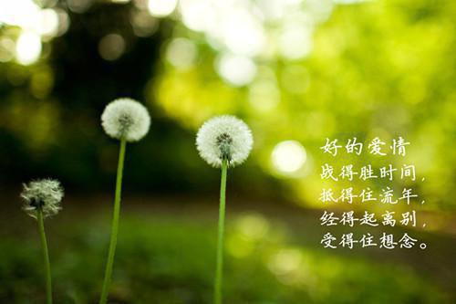 陈伯彦江警官小说全文免费阅读(陈伯彦江警官小说全文免费阅读)全文免费阅读无弹窗大结局_(成熟玫瑰小说全文小说免费阅读)最新章节列表_笔趣阁（陈伯彦江警官小说全文免费阅读）