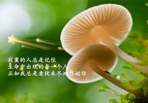 沈青棠容彻(沈青棠容彻)全文免费阅读无弹窗大结局_(沈青棠容彻免费阅读全文大结局)最新章节列表_笔趣阁（沈青棠容彻）