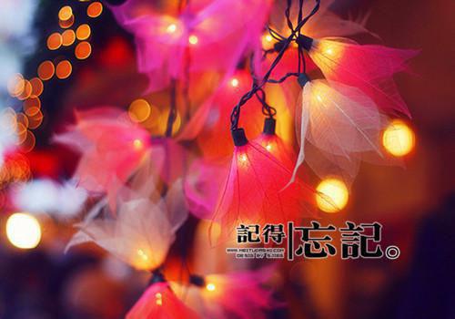 暖心正能量的句子图片