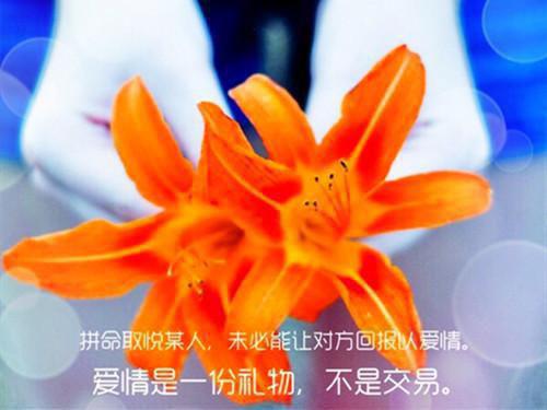 封廷江姜棠全文免费阅读无弹窗大结局_（刺激又勇敢的爱小说免费阅读）封廷江姜棠全文免费阅读最新章节列表_笔趣阁（刺激又勇敢的爱）