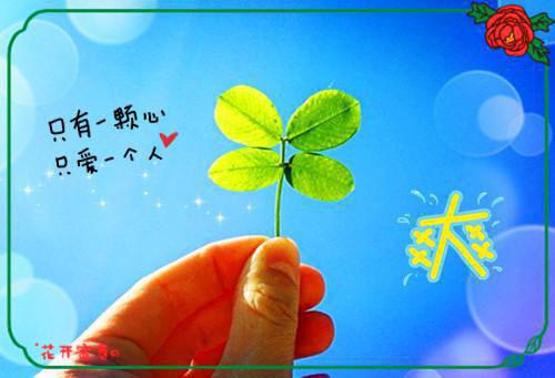 两世逐流（林泽森顾沉南宋婕）全文免费阅读大结局_两世逐流小说最新章节阅读