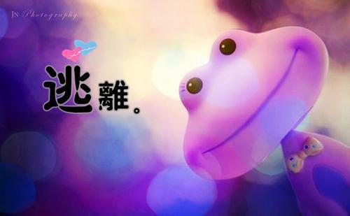 苏欢苏齐（苏欢苏齐）全文免费无弹窗大结局_苏欢苏齐（苏欢苏齐）最新章节目录笔趣阁（苏欢苏齐）