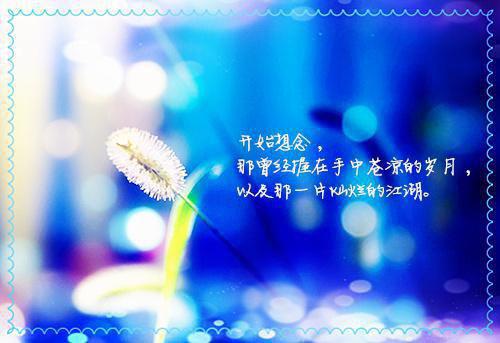 程曦陆辰（瞎子情劫）全文免费阅读无弹窗大结局_（瞎子情劫全文免费阅读无弹窗）瞎子情劫最新章节列表_笔趣阁（瞎子情劫）