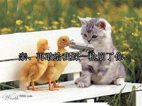 【新书】《南烟也曾向北城小说》顾南烟陆北城南烟也曾向北城小说全文全章节免费顾南烟陆北城读