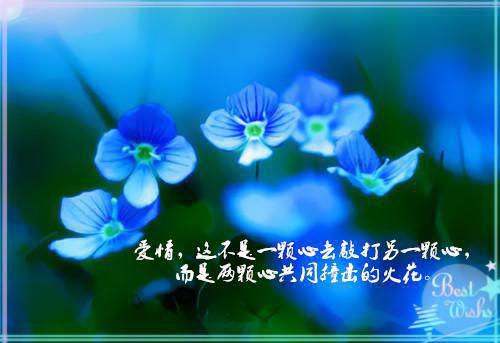 叶北辰周若妤（叶北辰全文免费阅读）全文免费阅读无弹窗大结局_(叶北辰全文免费阅读)叶北辰周若妤最新章节列表_笔趣阁（叶北辰周若妤）