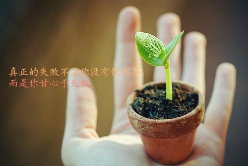 沈乔烟傅琛全文免费阅读（沈乔烟傅琛全文免费阅读）全文免费无弹窗大结局_沈乔烟傅琛全文免费阅读（沈乔烟傅琛全文免费阅读沈乔烟傅琛）最新章节目录笔趣阁（沈乔烟傅琛全文免费阅读）