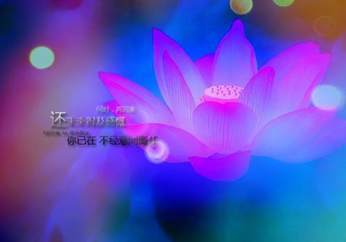 梁若馨傅琛无广告(梁若馨傅琛)全文免费阅读无弹窗大结局_(梁若馨傅琛免费阅读全文大结局)最新章节列表_笔趣阁（梁若馨傅琛无广告）
