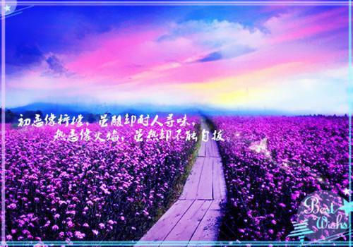 正能量的唯美短句子