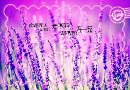 蓄谋初识（许识初沈妄津江之淮）全文免费阅读无弹窗_蓄谋初识最新小说_笔趣阁（许识初沈妄津江之淮）