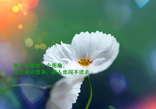热文容央褚怿全文免费阅读无弹窗大结局 主角叫容央褚怿的小说（容央褚怿）完整版免费阅读全文