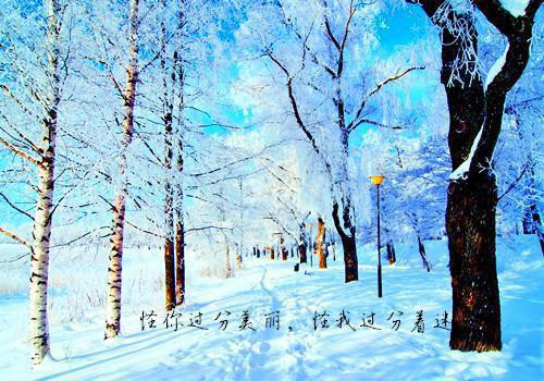 宋舒行周以沫（周以沫宋舒行）全文免费阅读无弹窗_周以沫宋舒行最新小说_笔趣阁（周以沫宋舒行）