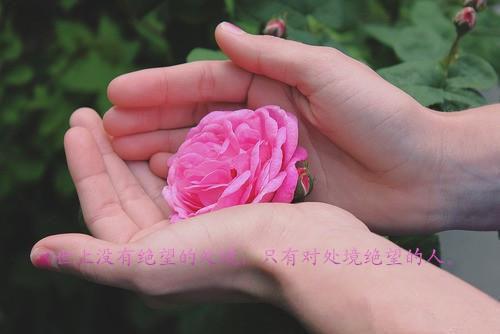 （他似火烧云）离秧秧在线阅读小说全文无删减-他似火烧云离秧秧小说大结局他似火烧云