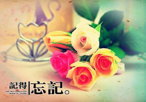 叶北辰九十九位师傅的小说（叶北辰九十九位师傅的小说）全文免费阅读无弹窗大结局_叶北辰九十九位师傅的小说全文免费阅读（叶北辰九十九位师傅的小说）最新章节列表笔趣阁（叶北辰九十九位师傅的小说）