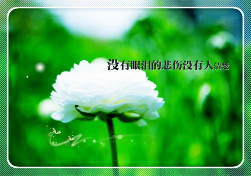 (番外)+(全文)风过便归尘：结局+番外+完结（凌潇齐煜）完整全文在线阅读_风过便归尘：结局+番外+完结免费阅读最新章节列表_笔趣阁（凌潇齐煜）