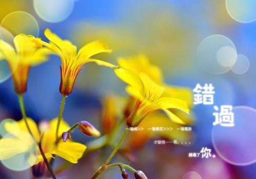 继妹不再见小说（继妹不再见小说）全文免费阅读无弹窗大结局_(继妹不再见小说小说免费阅读)最新章节列表_笔趣阁（继妹不再见小说）