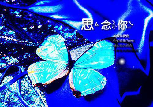双双有你（林双双姜鱼）全文免费阅读无弹窗大结局_（双双有你全文免费阅读无弹窗）林双双姜鱼最新章节列表_笔趣阁（双双有你）