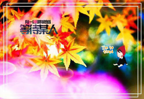 叶凝薄寒年（薄寒年叶凝）全文免费阅读无弹窗大结局_叶凝薄寒年全文阅读_笔趣阁（薄寒年叶凝）