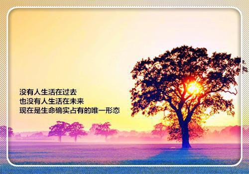 丫鬟光辉（丫鬟光辉）全文免费阅读无弹窗大结局_（丫鬟光辉）丫鬟光辉全文免费阅读_笔趣阁（丫鬟光辉）