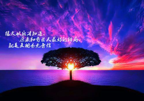 正能量英文优美句子大全