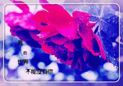 初梦长安（赵紫玉魏昭）全文免费阅读无弹窗大结局_（初梦长安）赵紫玉魏昭最新章节列表_笔趣阁（初梦长安）
