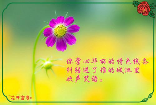 叶棠薄迟宴/豪门太太身份曝光后,全员火葬场了（全文小说大结局）完本阅读