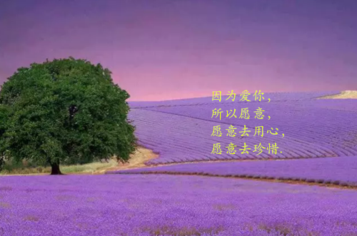 九十九位师傅（九十九位师傅）全文免费阅读无弹窗大结局_(九十九位师傅免费阅读全文大结局)九十九位师傅最新章节列表_笔趣阁（九十九位师傅）