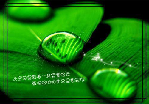 陈禾宋岭远（陈禾宋岭远）爆款小说_陈禾宋岭远最新章节列表_(陈禾宋岭远）