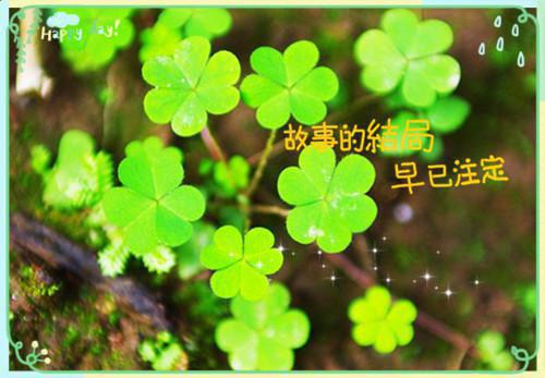 温如沁燕齐北小说免费阅读（纵使悲凉也深情）全文在线阅读无弹窗大结局_（温如沁燕齐北小说免费阅读）免费阅读列表笔趣阁（纵使悲凉也深情）