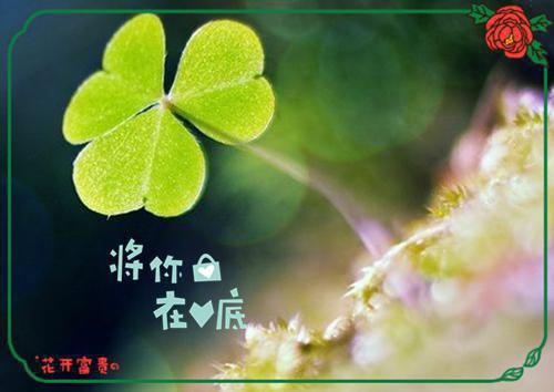 绝绝心声全文免费阅读（温颜司墨衍）全文免费温颜司墨衍读无弹窗大结局_(温颜司墨衍)绝绝心声免费温颜司墨衍读无弹窗最新章节列表_笔趣阁（温颜司墨衍）