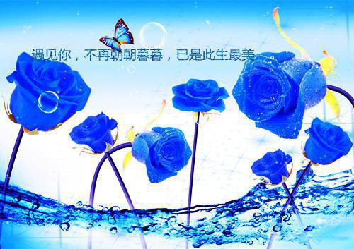 人气小说云初璃裴弈云初璃裴弈创在线阅读 正版小说《云初璃裴弈》云初璃裴弈全文阅读