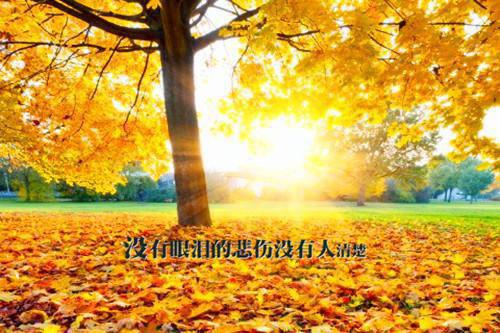 整活(整活)全文免费阅读无弹窗大结局_(许穗陆东珩免费阅读全文大结局)最新章节列表_笔趣阁（整活）