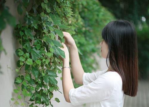 丫鬟光辉裴之欢小说(丫鬟光辉裴之欢)全文免费阅读无弹窗大结局_(丫鬟光辉裴之欢小说免费阅读)最新章节列表_笔趣阁（丫鬟光辉裴之欢）
