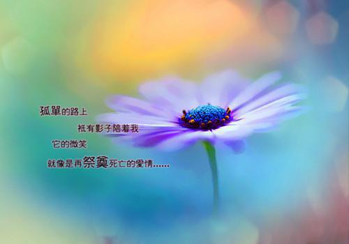余生只为你(000)小说免费下载全本-秋沣生楚曜尘（余生只为你完整版）免费阅读