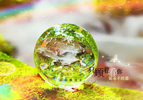 穿进修仙界：我截胡了男主的女人小说全文免费阅读（刘长福南宫琉璃）全文免费刘长福南宫琉璃读无弹窗大结局_(刘长福南宫琉璃)穿进修仙界：我截胡了男主的女人小说免费刘长福南宫琉璃读无弹窗最新章节列表_笔趣阁（刘长福南宫琉璃）