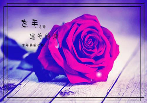 小说（孟晓桉景玮辰）全文免费阅读无弹窗大结局_(孟晓桉景玮辰)孟晓桉景玮辰小说免费阅读无弹窗最新章节列表_笔趣阁（孟晓桉景玮辰）