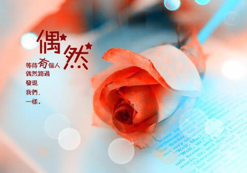 江瑶顾瑾浩小说（江瑶顾瑾浩）全文免费阅读无弹窗_江瑶顾瑾浩最新章节列表笔趣阁（江瑶顾瑾浩免费阅读大结局）
