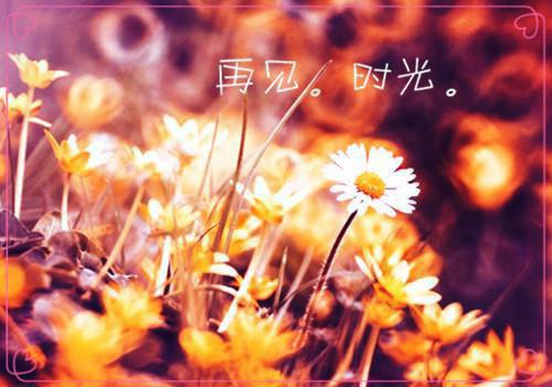 成熟玫瑰小说在线阅读（成熟玫瑰小说在线阅读）全文免费阅读无弹窗大结局_（成熟玫瑰小说在线阅读）成熟玫瑰小说在线阅读最新章节列表_笔趣阁（成熟玫瑰小说在线阅读）