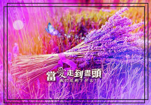 双鱼之争姜鱼林双双（双鱼之争姜鱼林双双）全文免费阅读无弹窗大结局_(姜鱼林双双全文免费阅读)双鱼之争姜鱼林双双最新章节列表_笔趣阁（双鱼之争姜鱼林双双）