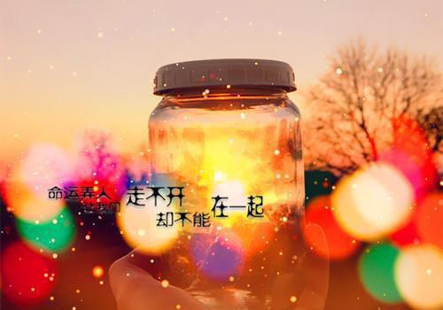 仙道萌娃苏寒全文免费阅读（仙道萌娃小说）全文免费苏寒读无弹窗大结局_仙道萌娃小说苏寒最新章节列表_笔趣阁（苏寒）