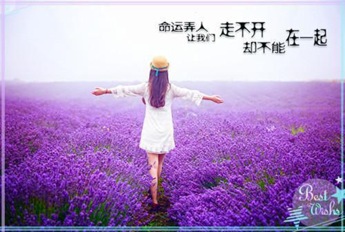 楚萤宋知南(真千金重生靠算命成全网顶流楚萤)全文免费阅读无弹窗大结局_(真千金重生靠算命成全网顶流楚萤)楚萤宋知南阅读无弹窗最新章节列表_笔趣阁(楚萤宋知南)