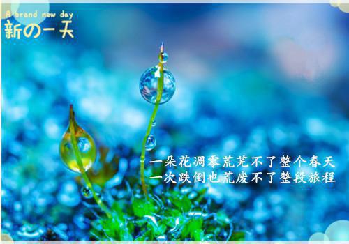 书名：宋晚意祁煜（祁煜宋晚意）全文免费阅读无弹窗_（书名：宋晚意祁煜小说全文免费阅读）主角最新章节列表笔趣阁（祁煜宋晚意）